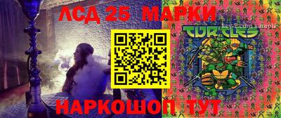 гидропоника Конаково