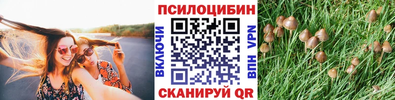 Галлюциногенные грибы прущие грибы hydra зеркало Похвистнево купить наркотики цена