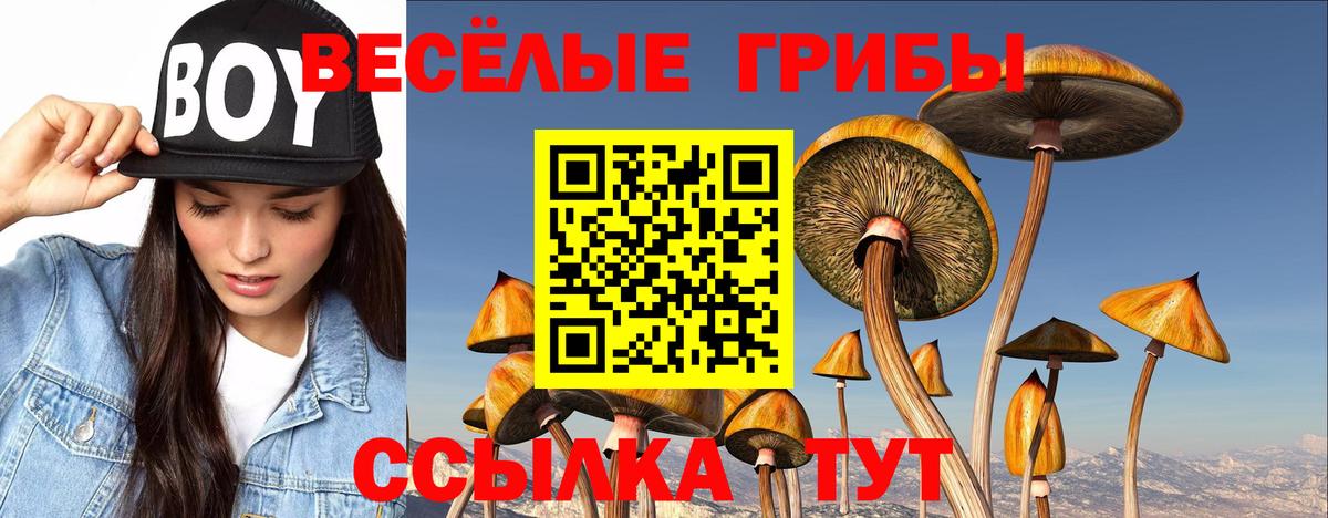 Псилоцибиновые грибы мицелий Похвистнево