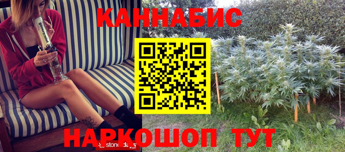 Бошки Шишки White Widow Похвистнево